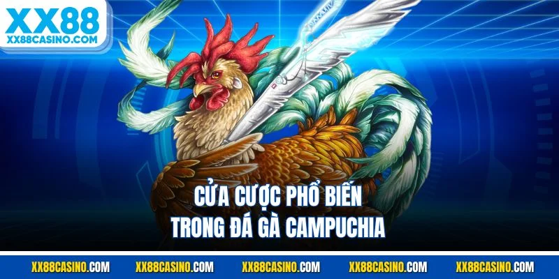 Cửa cược phổ biến trong đá gà Campuchia